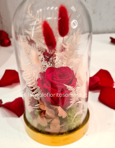 Teca Con Rosa Stabilizzata E Fiori Secchi Fiori Invio E Consegna Fiori A Somma Lombardo Acquista Online Fiori E Piante A Somma Lombardo