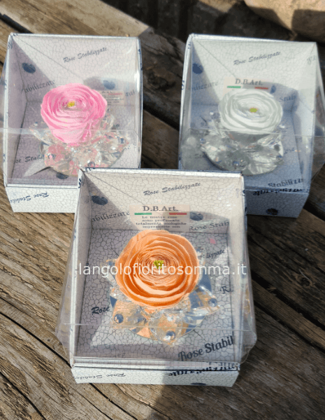 Ranuncolo disidratato SALMONE