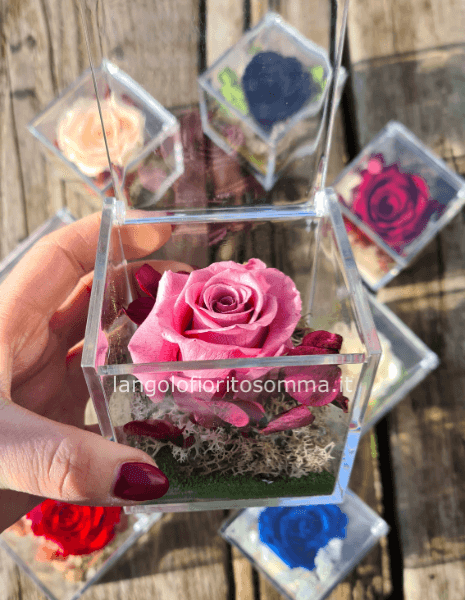 Cubo 8 x 8 BLU