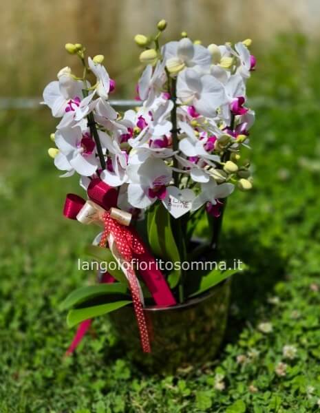 Composizione orchidea 6 rami