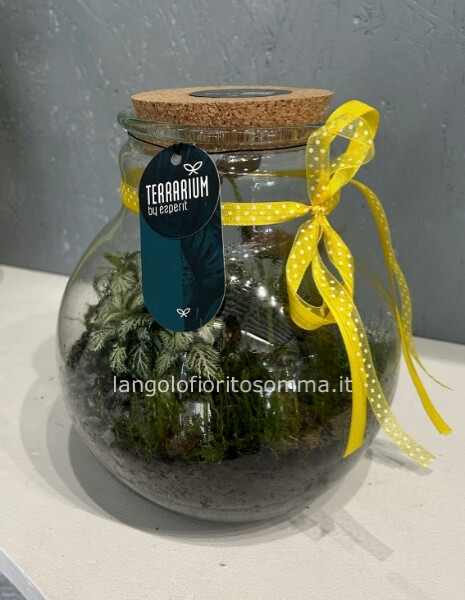 Terrarium LED