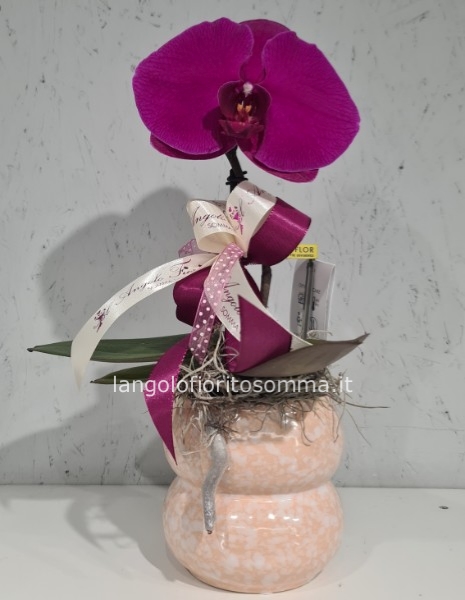 Orchidea Singolo