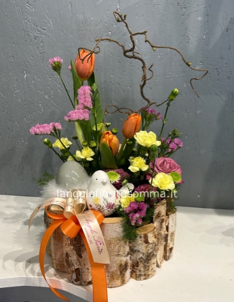 Il Nido del Pulcino Pio 🐣